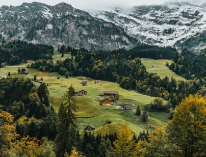 Best Courses to Study In Switzerland For International Students