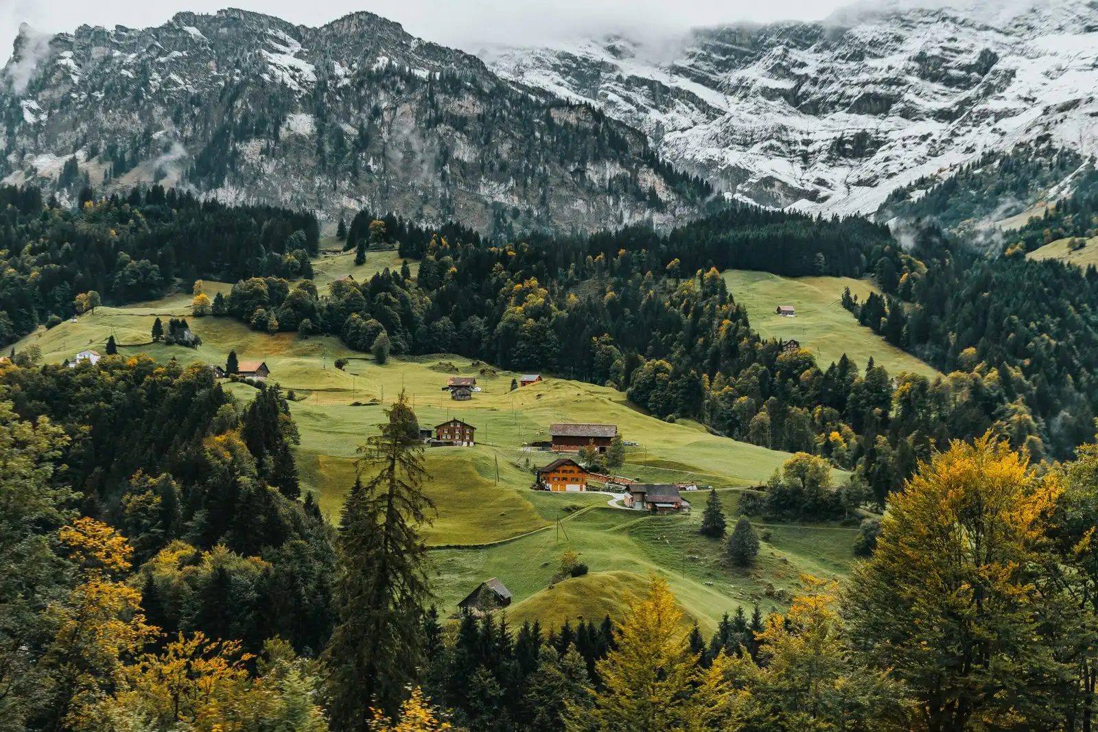 Best Courses to Study In Switzerland For International Students