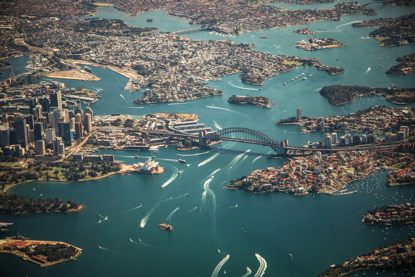 In-Demand Courses To Study in Australia