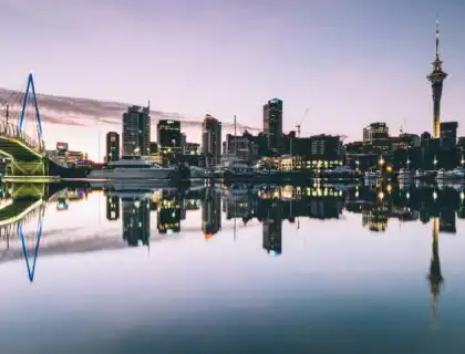 Most In-Demand Courses in New Zealand for 2025 & Job Prospects