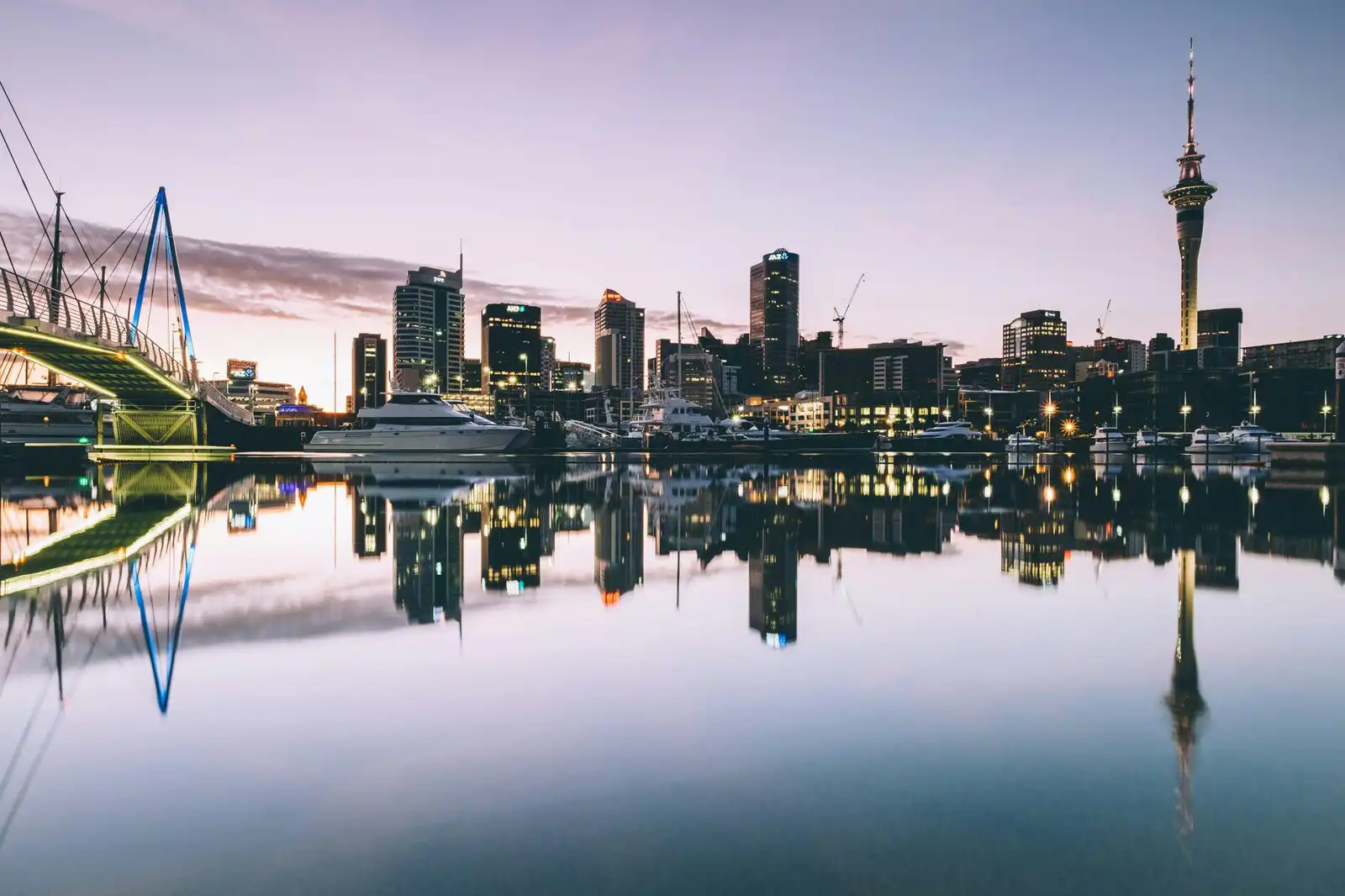 Most In-Demand Courses in New Zealand for 2025 & Job Prospects