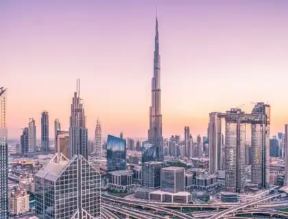 Top Courses to Study in Dubai for International Students 2025