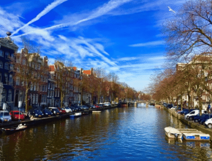 Top Courses to Study in the Netherlands