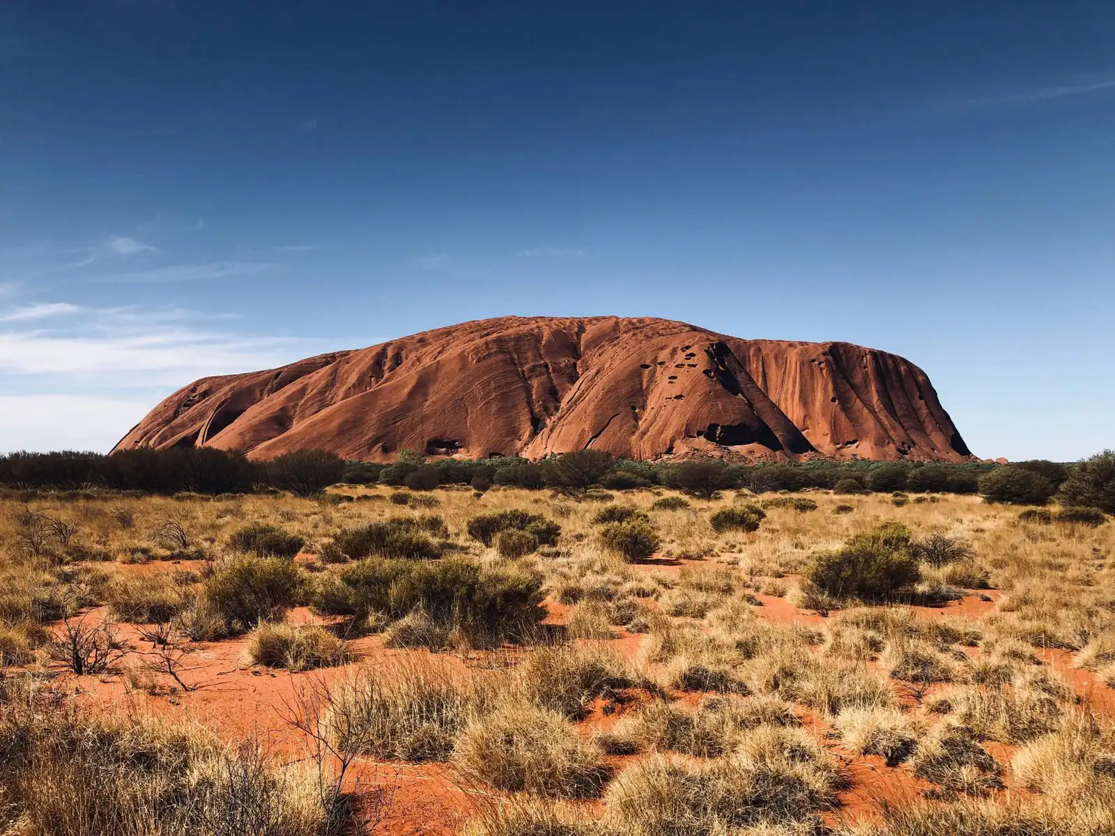 Why Study in Australia in 2025 Top Benefits for International Students