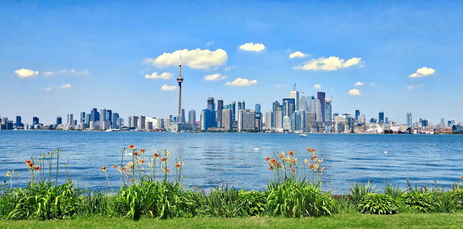 Top Engineering Universities in Canada 2025 Rankings & Guide