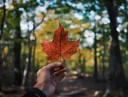 Top Scholarships in Canada for International Students